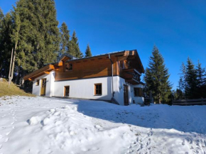 Ferienhaus Königsleiten